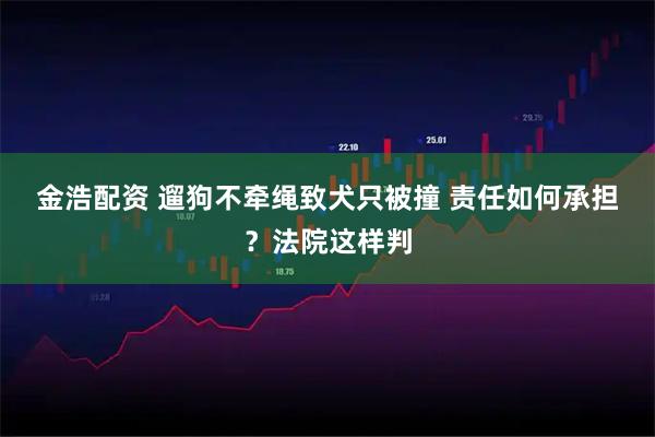 金浩配资 遛狗不牵绳致犬只被撞 责任如何承担？法院这样判
